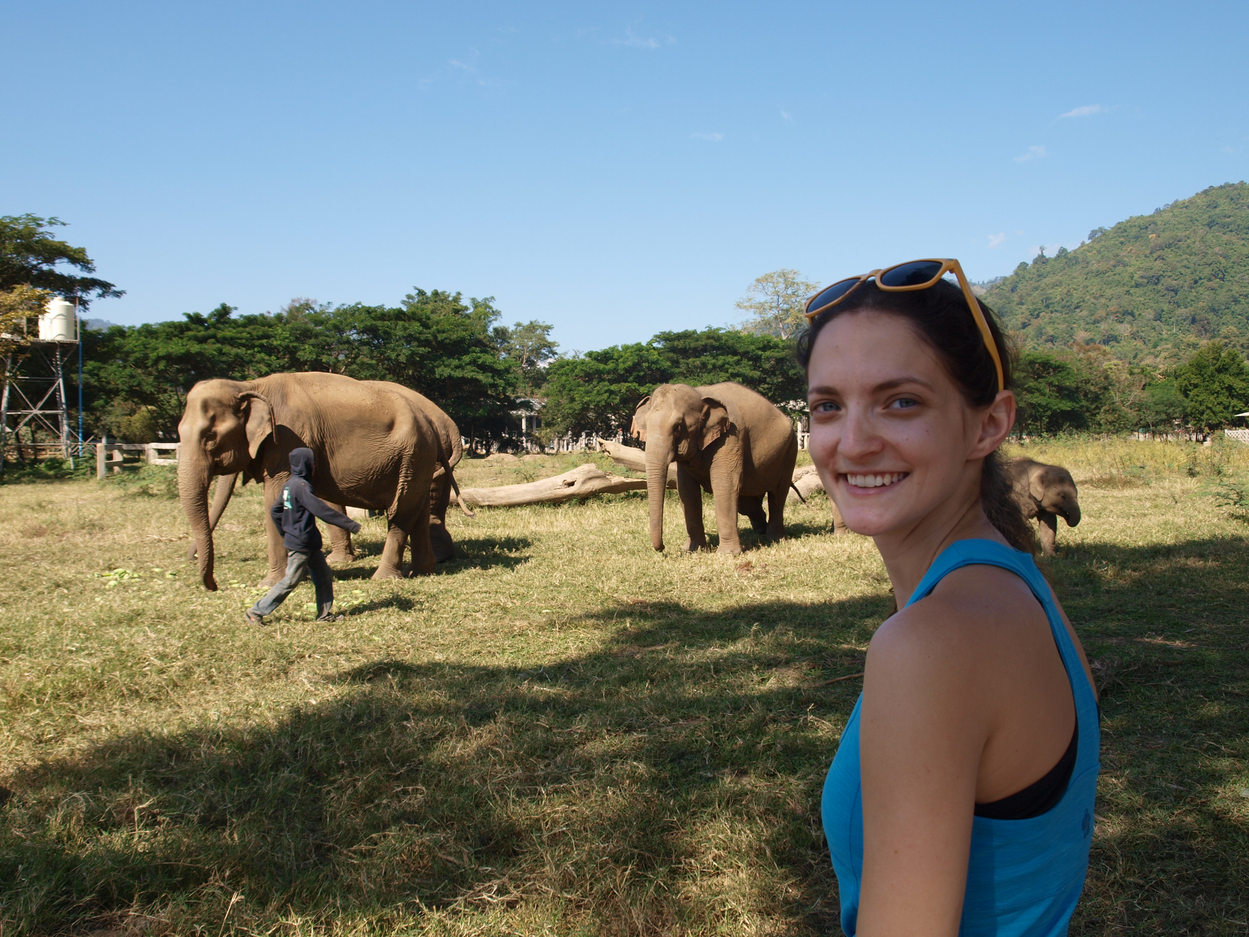 The Deal Behind Riding Elephants in Southeast Asia