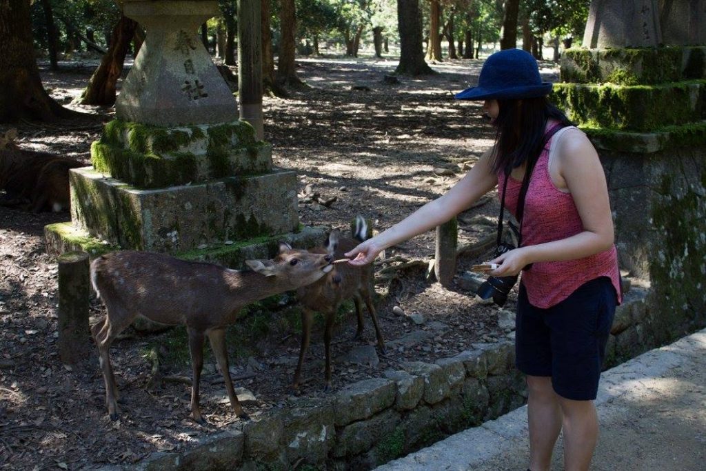adelina-feeding-deer-in-nara-japan
