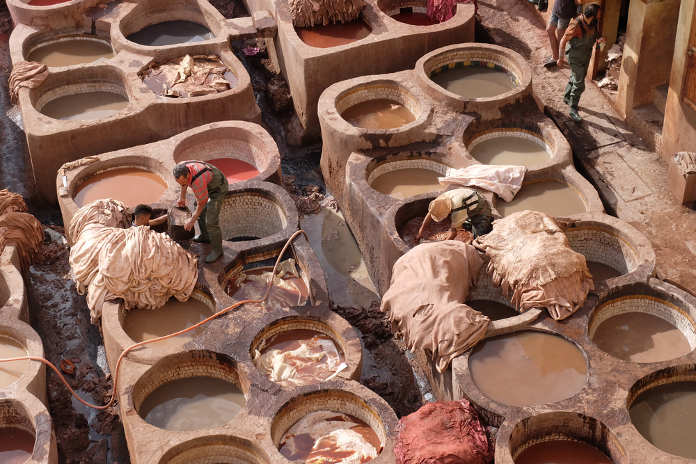 The leather tannery in Fes while on my Morocco trip