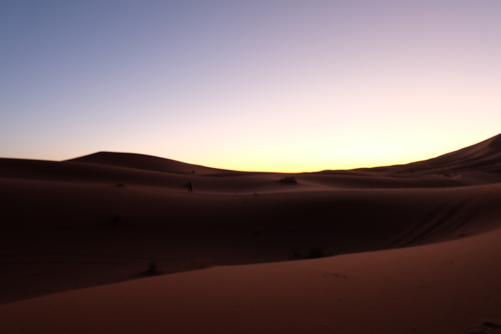 Sahara Sunrise