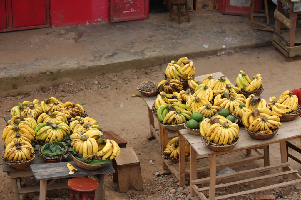 Bunches of bananas at a local street vender in Uganda