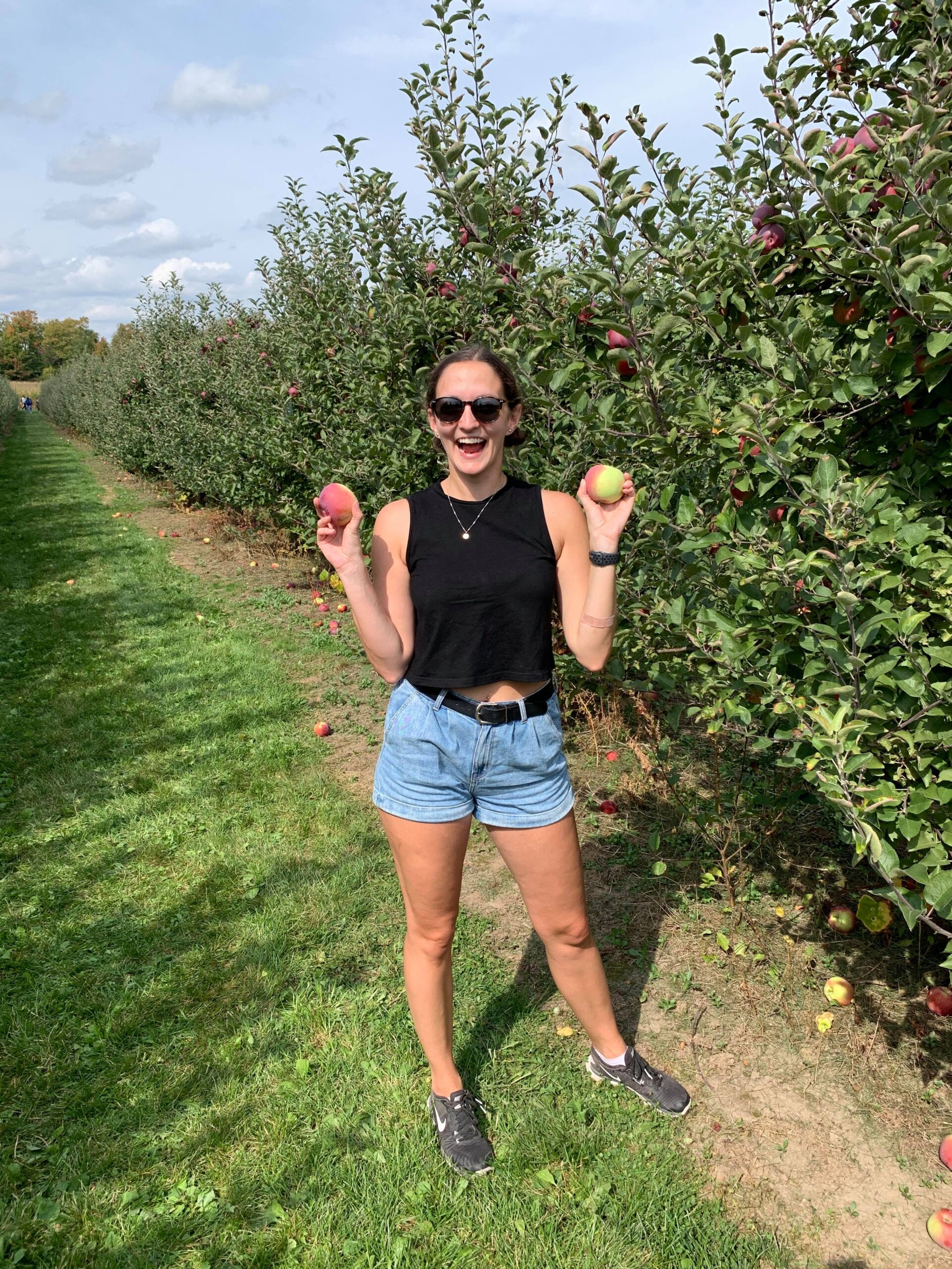 5 Things to Make with Apples from Apple Picking Twirl The Globe