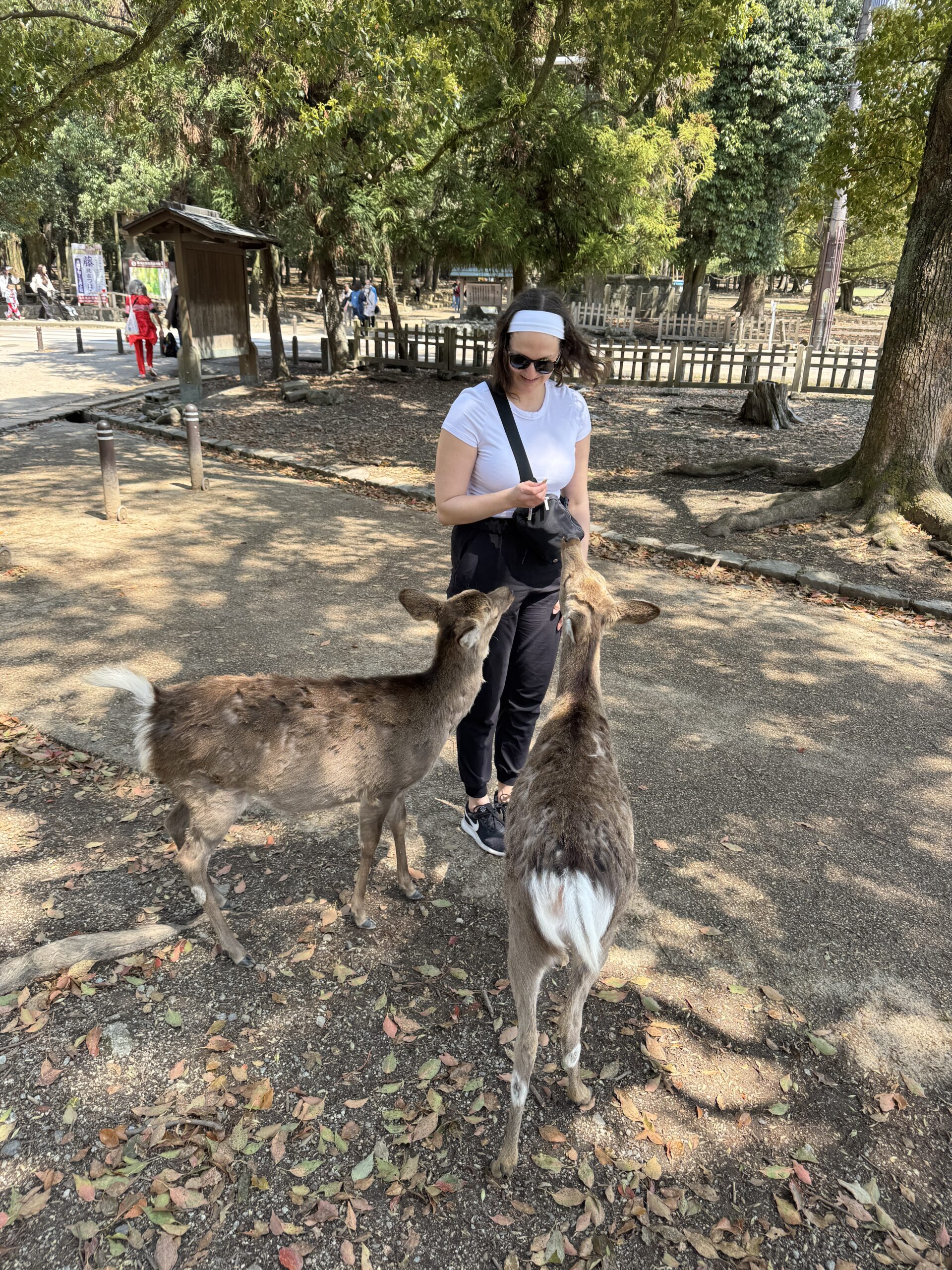 Day Trip to Nara, Japan - Twirl The Globe